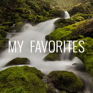 Favorites Gallery