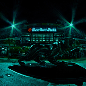 Touchdown Jaguar