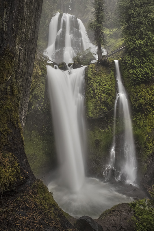 Towering Mist