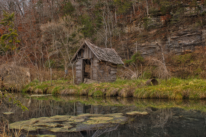Wolf Island Shack
